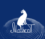 Математический флешмоб MathCat-2024